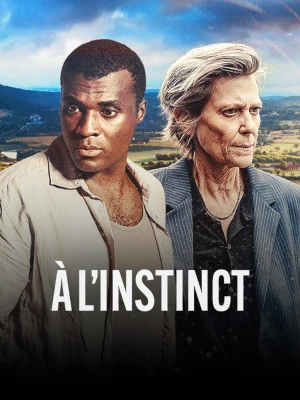  À l'instinct - Saison 1 affiche 