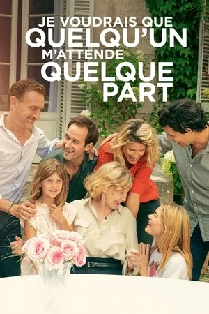 Regarder Je voudrais que quelqu'un m'attende quelque part en streaming complet