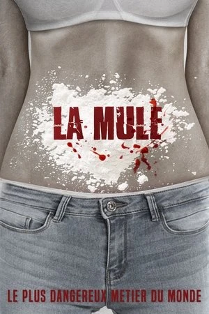 Regarder La Mule en streaming complet