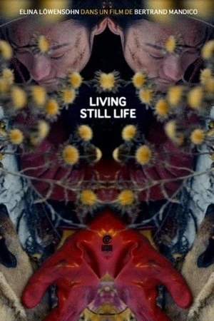 Regarder La résurrection des natures mortes (Living Still Life) en streaming complet