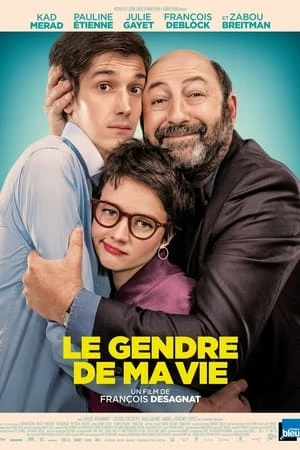 Regarder Le Gendre de ma vie en streaming complet