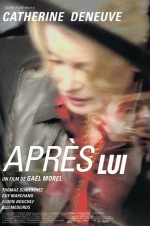 Regarder Après lui en streaming complet