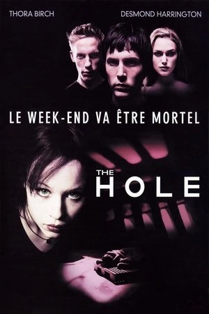 Regarder The Hole en streaming complet