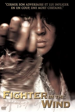 Regarder Fighter in the Wind en streaming complet