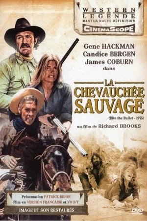 Regarder La Chevauchée sauvage en streaming complet