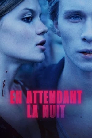 Regarder En attendant la nuit en streaming complet