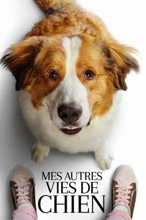 Regarder Mes Autres Vies de Chien en streaming complet