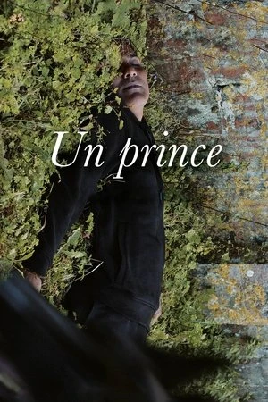 Regarder Un prince en streaming complet