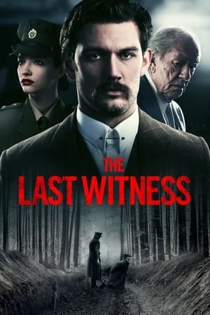  The Last Witness affiche 