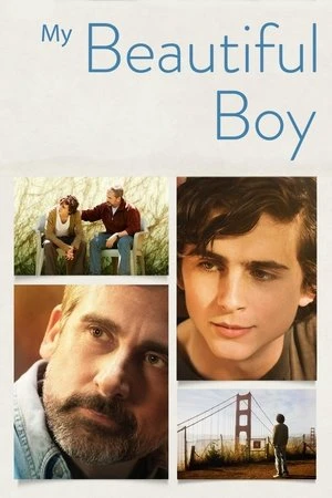  My Beautiful Boy affiche 