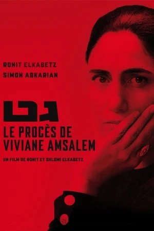  Le procès de Viviane Amsalem affiche 