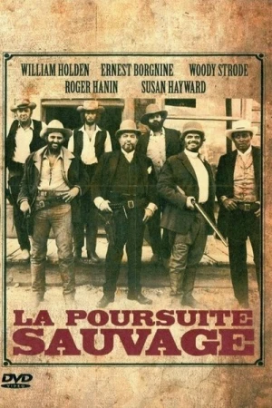 Regarder La Poursuite sauvage en streaming complet