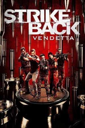 Regarder Strike Back - Saison 8 en streaming complet