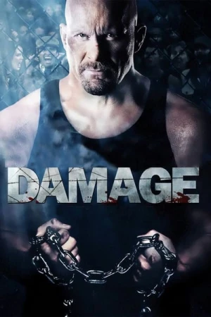  Damage affiche 