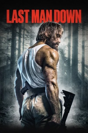 Regarder Last Man Down en streaming complet