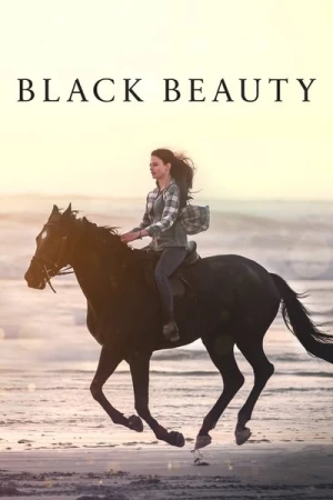 Regarder Black Beauty en streaming complet