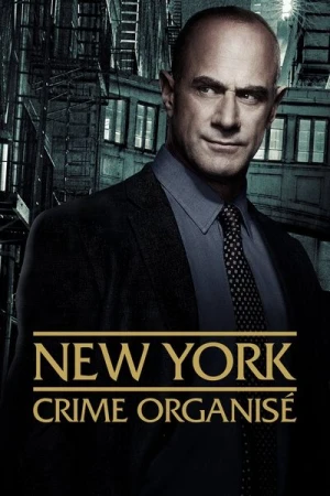 Regarder New York : Crime organisé - Saison 4 en streaming complet
