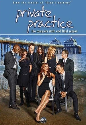  Private Practice - Saison 6 affiche 