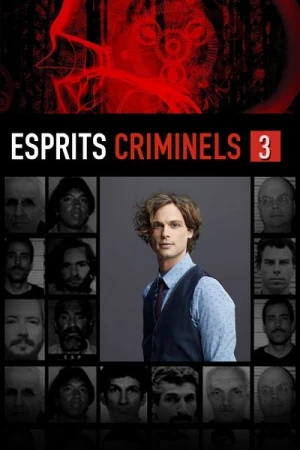 Regarder Esprits criminels - Saison 3 en streaming complet