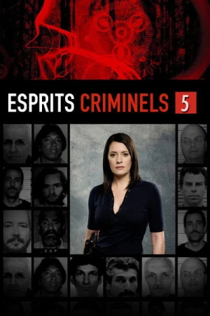 Regarder Esprits criminels - Saison 5 en streaming complet