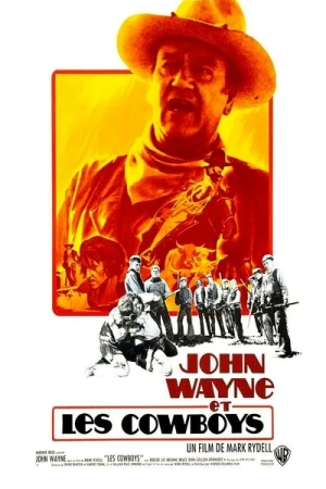  Les cowboys affiche 