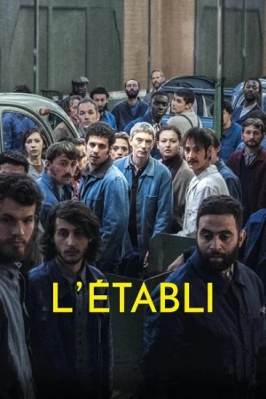 Regarder L'Établi en streaming complet