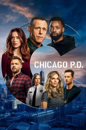  Chicago PD - Saison 8 affiche 