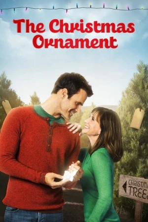 Regarder Une rencontre pour Noël en streaming complet
