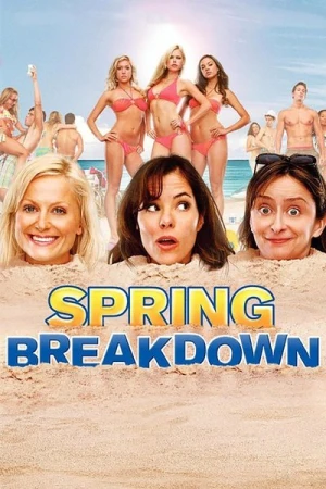  Spring Breakdown affiche 