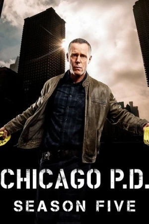Regarder Chicago PD - Saison 5 en streaming complet