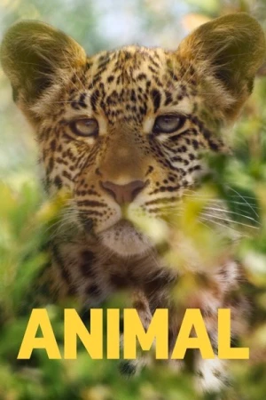  Le Règne Animal - Saison 1 affiche 