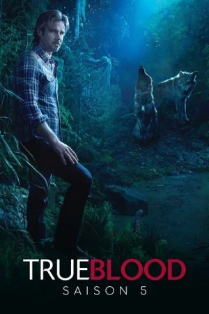 Regarder True Blood - Saison 5 en streaming complet