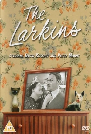  The Larkins (2021) - Saison 1 affiche 