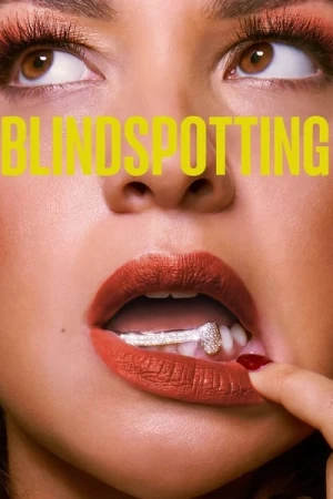 Regarder Blindspotting - Saison 2 en streaming complet