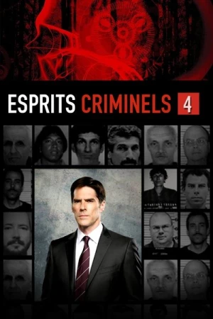 Regarder Esprits criminels - Saison 4 en streaming complet