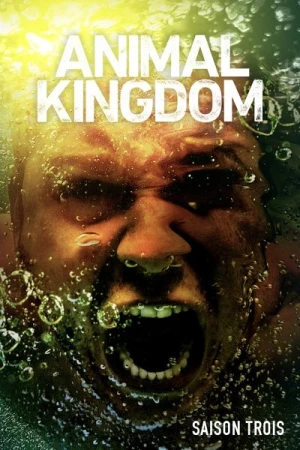 Regarder Animal Kingdom - Saison 3 en streaming complet