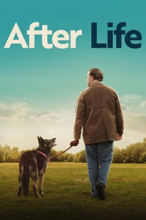  After Life - Saison 3 affiche 
