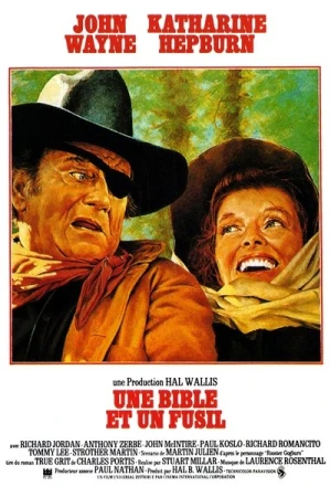  Une bible et un fusil affiche 