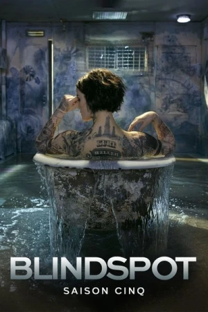 Regarder Blindspot - Saison 5 en streaming complet