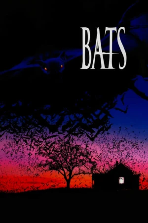 Regarder La nuit des chauves-souris en streaming complet