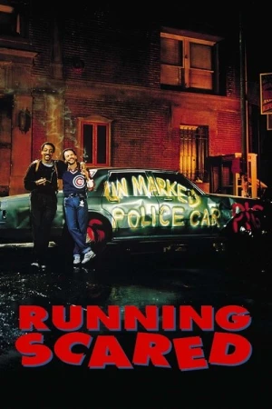 Regarder Deux flics à Chicago en streaming complet