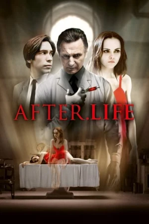  After.Life affiche 
