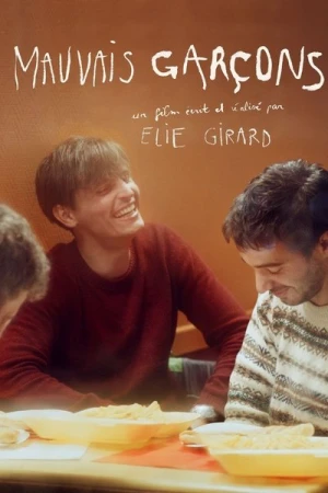  Les mauvais garçons affiche 