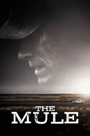 Regarder La Mule en streaming complet