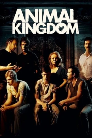 Regarder Animal Kingdom en streaming complet