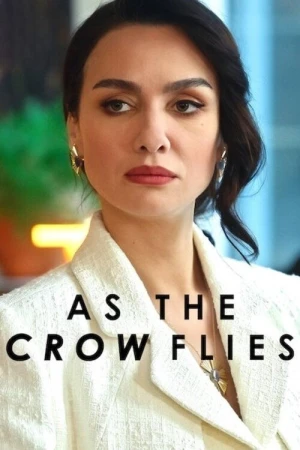 Regarder Les Ailes de l'Ambition - Saison 3 en streaming complet