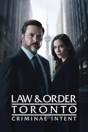 Regarder Toronto : Section Criminelle - Saison 2 en streaming complet
