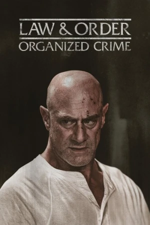 Regarder New York : Crime organisé - Saison 5 en streaming complet